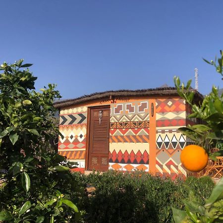 Afrikan Krisant Tenerife, Casa Rural Ecologica Arafo ภายนอก รูปภาพ