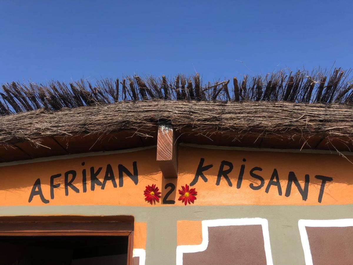 Afrikan Krisant Tenerife, Casa Rural Ecologica Arafo ภายนอก รูปภาพ