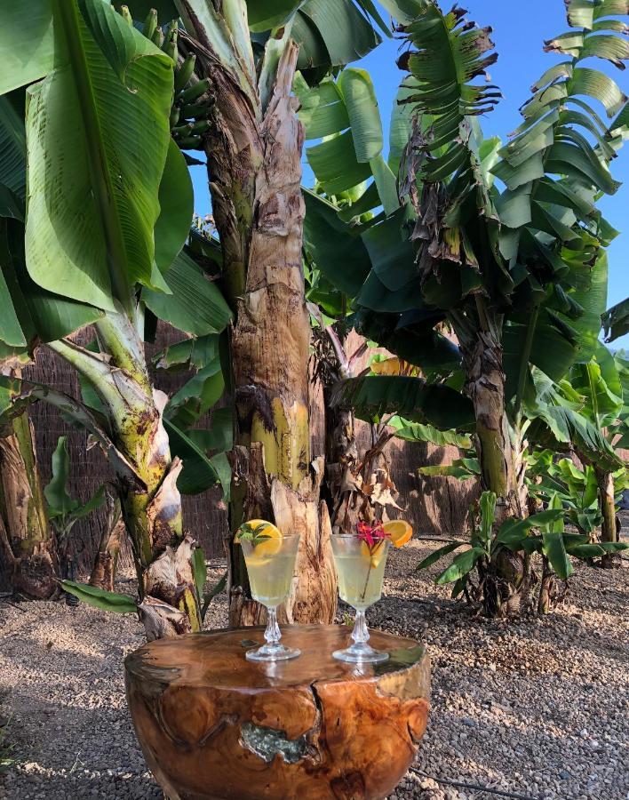 Afrikan Krisant Tenerife, Casa Rural Ecologica Arafo ภายนอก รูปภาพ