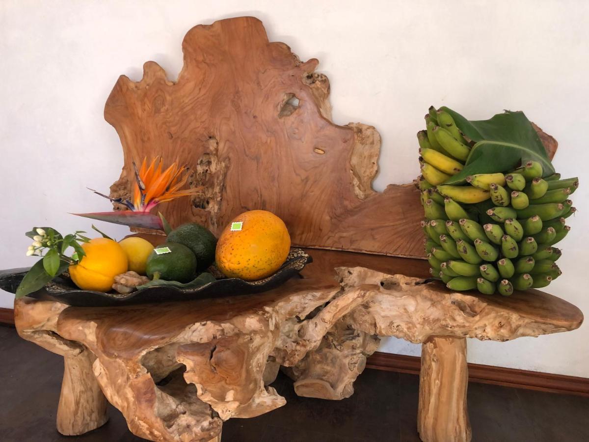 Afrikan Krisant Tenerife, Casa Rural Ecologica Arafo ภายนอก รูปภาพ