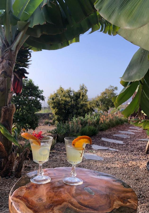 Afrikan Krisant Tenerife, Casa Rural Ecologica Arafo ภายนอก รูปภาพ