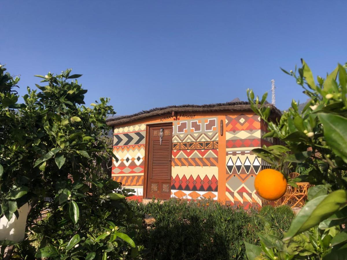 Afrikan Krisant Tenerife, Casa Rural Ecologica Arafo ภายนอก รูปภาพ