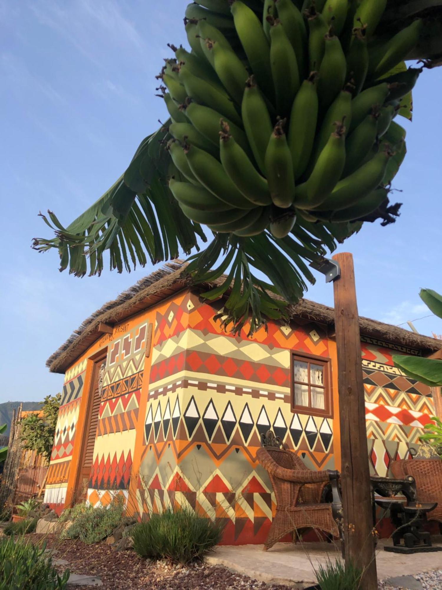 Afrikan Krisant Tenerife, Casa Rural Ecologica Arafo ภายนอก รูปภาพ