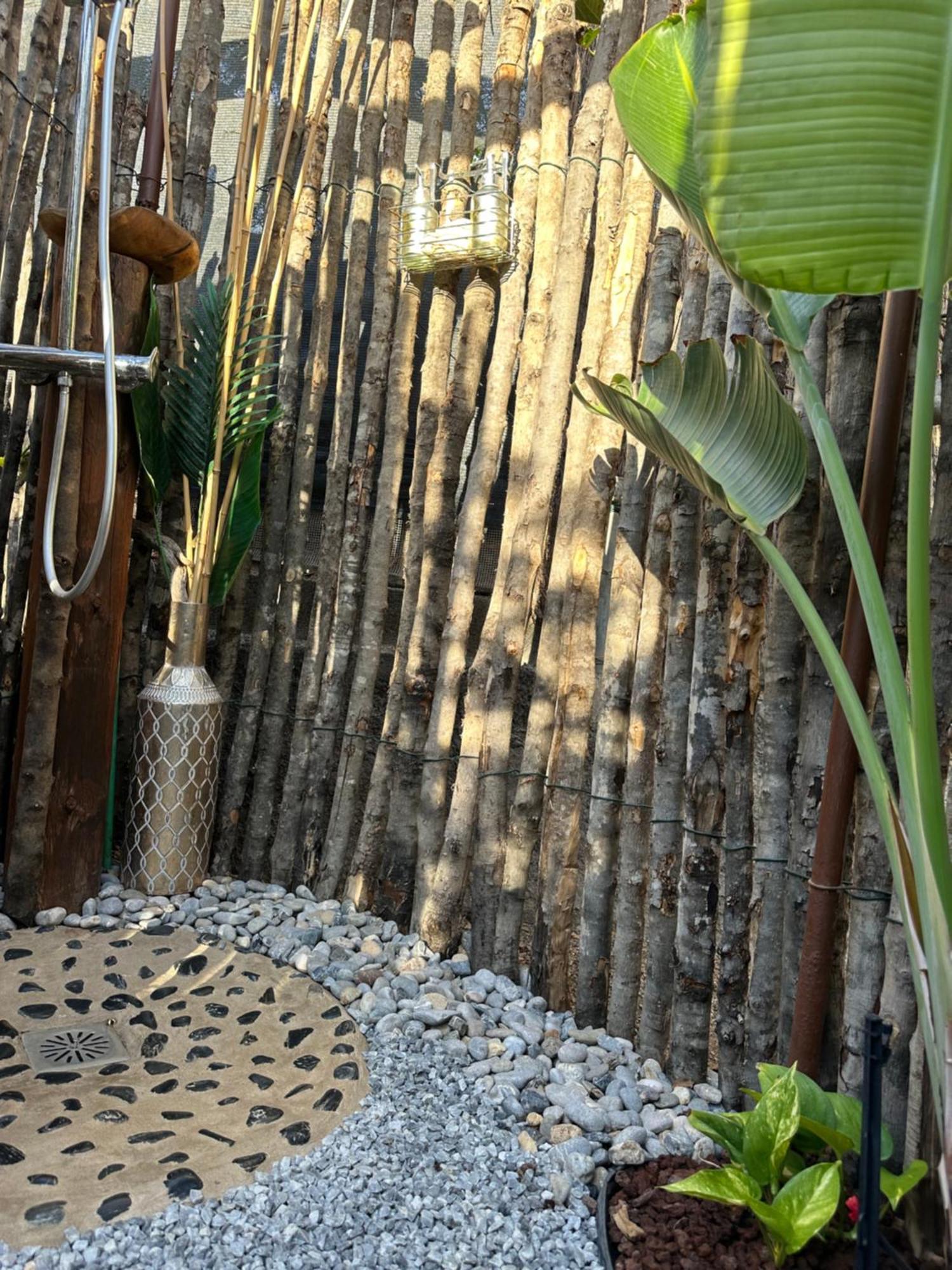 Afrikan Krisant Tenerife, Casa Rural Ecologica Arafo ภายนอก รูปภาพ