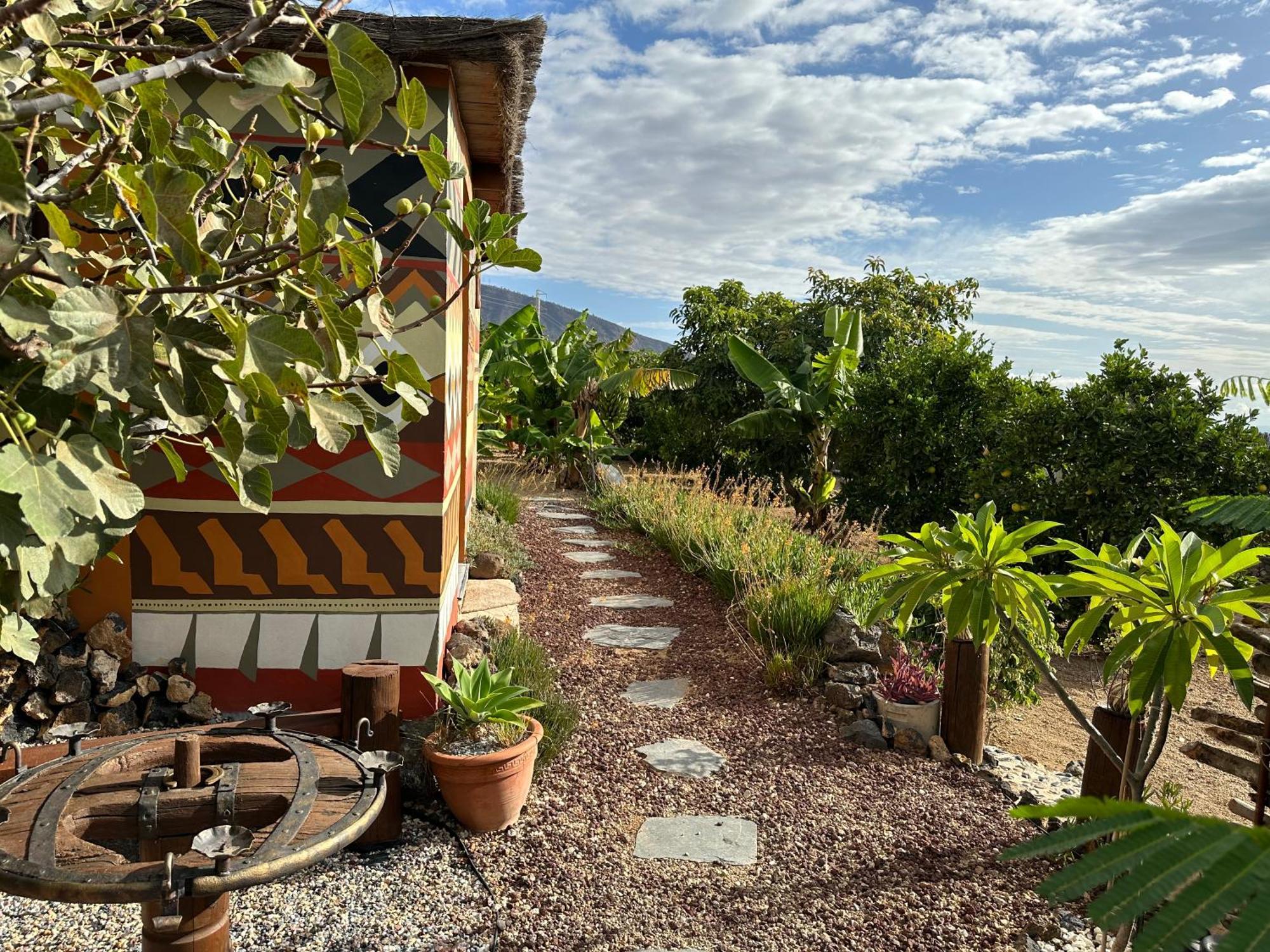 Afrikan Krisant Tenerife, Casa Rural Ecologica Arafo ภายนอก รูปภาพ