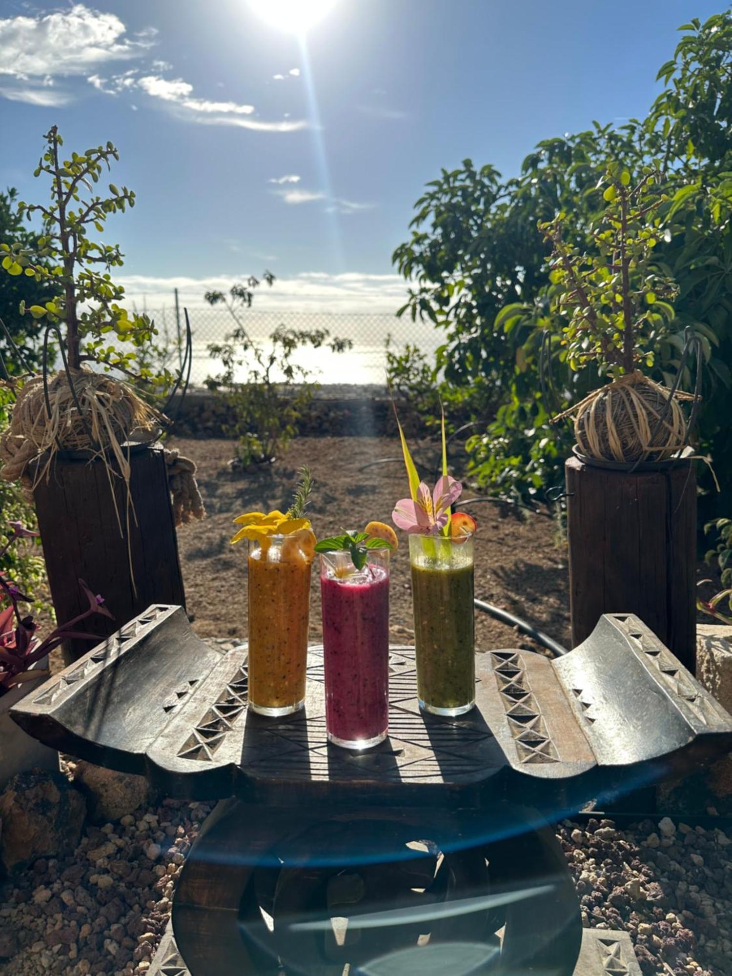 Afrikan Krisant Tenerife, Casa Rural Ecologica Arafo ภายนอก รูปภาพ